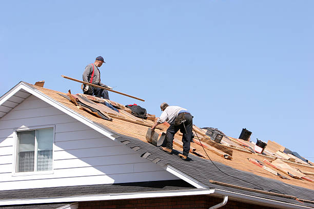 Best Roof Leak Repair  in Pennsboro, WV